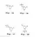 Fig. 02 - METHOD AND ANTISENSE COMPOSITION FOR SELECTIVE INHIBITION OF HIV INFECTION IN HEMATOPOIETIC CELLS