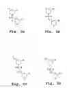 Fig. 03 - METHOD AND ANTISENSE COMPOSITION FOR SELECTIVE INHIBITION OF HIV INFECTION IN HEMATOPOIETIC CELLS