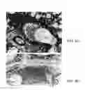 Fig. 07 - Small Peptides And Methods For Stabilizing The Cell Membrane Of An Immune Cell