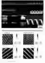 Fig. 01 -  USE OF TOPOGRAPHIC CUES TO MODULATE STEM CELL BEHAVIORS