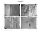 Fig. 07 -  USE OF TOPOGRAPHIC CUES TO MODULATE STEM CELL BEHAVIORS