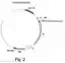 Fig. 03 - Lentiviral packaging cells and uses therefor