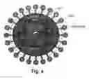 Fig. 05 - Lentiviral packaging cells and uses therefor
