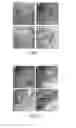 Fig. 02 - Graded core/shell semiconductor nanorods and nanorod barcodes