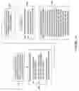Fig. 19 - System and method for generating non-uniform grid points from calibration data