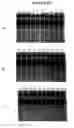 Fig. 133 - Reactions on a solid surface