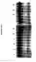 Fig. 134 - Reactions on a solid surface