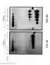 Fig. 19 - Reactions on a solid surface