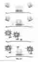Fig. 37 - Reactions on a solid surface