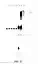 Fig. 87 - Reactions on a solid surface