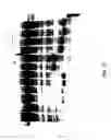 Fig. 91 - Reactions on a solid surface