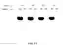 Fig. 98 - Reactions on a solid surface