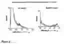 Fig. 06 - Bcl-2 promoted cell death