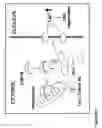 Fig. 22 - Bcl-2 promoted cell death