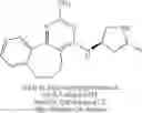 Fig. 197 - Macrocyclic benzofused pyrimidine derivatives