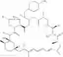 Fig. 19 - 39-desmethoxy derivatives of rapamycin