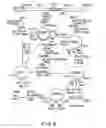 Fig. 07 - Immunodeficiency recombinant poxvirus