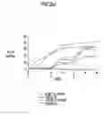 Fig. 72 - Immunodeficiency recombinant poxvirus