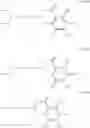 Fig. 40 - Carbonylation method by adding secondary sterically hindered amines