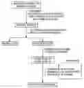 Fig. 01 - Mass separation method of magnolol from cortex radix