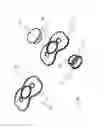 Fig. 02 - Pacifier shields