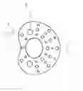 Fig. 11 - Pacifier shields