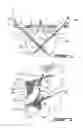 Fig. 02 - Anchoring System for Fixing Objects to Bones