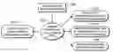 Fig. 01 - Device and method for treating disorders of the cardiovascular system or heart