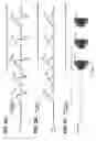 Fig. 06 - Device and method for treating disorders of the cardiovascular system or heart