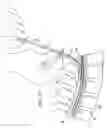 Fig. 08 - Apparatus for implanting an electrical stimulation lead