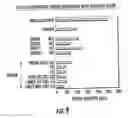 Fig. 09 - Woven and/or braided fiber implants and methods of making same