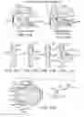 Fig. 22 - Methods and devices for treating sleep apnea and snoring