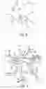 Fig. 07 - Vascular image extraction and labeling system and method