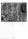 Fig. 04 - Methods and apparatus for presenting a continuum of image data
