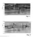 Fig. 08 - Direct time lapse inversion of seismic data
