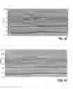 Fig. 12 - Direct time lapse inversion of seismic data