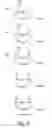 Fig. 09 - SYSTEMS AND METHODS FOR CUSTOMIZED FITTING, BUILDING AND SELLING OF FOOTWEAR, AND FOOTWEAR ASSEMBLIES FORMED FROM SUCH METHODS