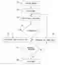 Fig. 01 - DEGRESSIVE AUCTION METHOD