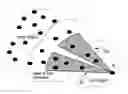 Fig. 01 - Mesh-to-cluster protocol