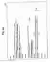 Fig. 45 - Information processing apparatus and information processing method