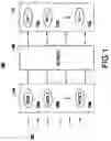 Fig. 02 - System and method for optimizing data in value-based storage system