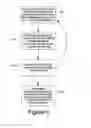 Fig. 05 - Advanced stream format (ASF) data stream header object protection