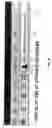Fig. 07 - Visual indication of user role in an address bar