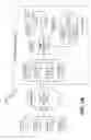 Fig. 04 - SCALABLE ARCHITECTURE