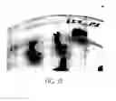 Fig. 22 - Universal chloroplast integration and expression vectors, transformed plants and products thereof