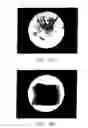 Fig. 35 - Universal chloroplast integration and expression vectors, transformed plants and products thereof