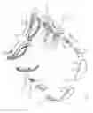 Fig. 02 - Swimming goggles