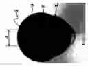 Fig. 02 - AEROSOL DRAIN OPENER