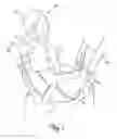 Fig. 02 - Personal transfer and carrier sling