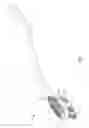 Fig. 02 - Toothbrush with low profile head